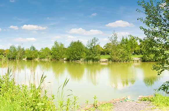 Court Farm Fishing Lakes