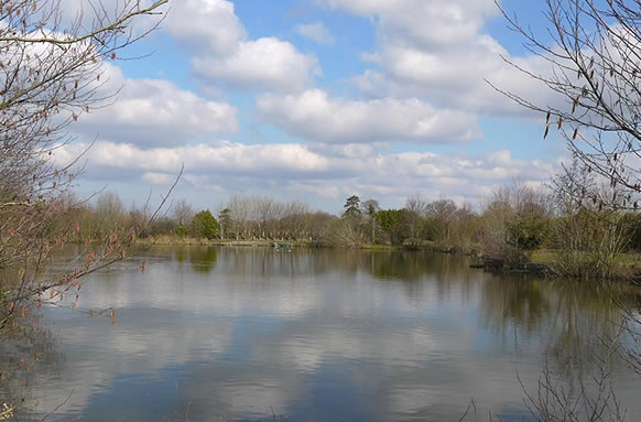 Court Farm Fishing Lakes