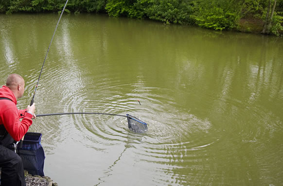 Court Farm Fishing Lakes