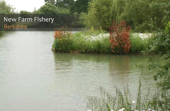 New Farm Fishing Lakes