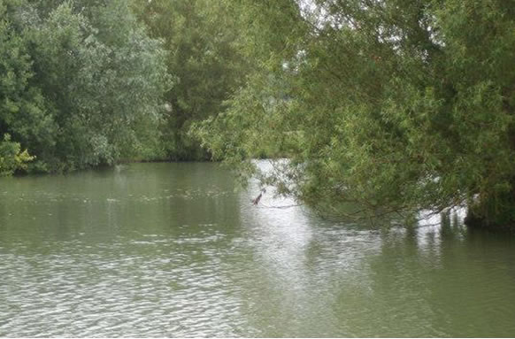 New Farm Fishing Lakes