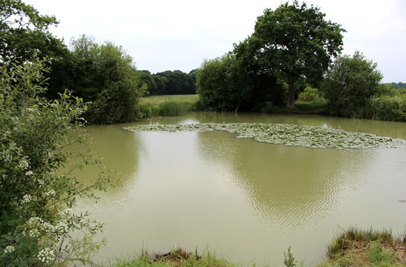Belfry Fishery Small Lake