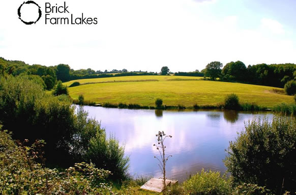 Brick Farm Lakes Trout Fishery