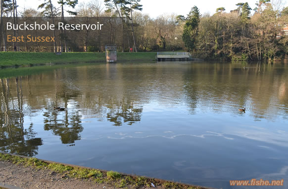 Buckshole Reservoir