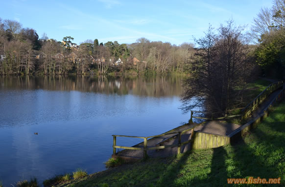 Buckshole Disabled Swim