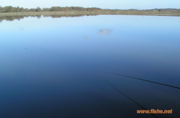 Darwell Reservoir