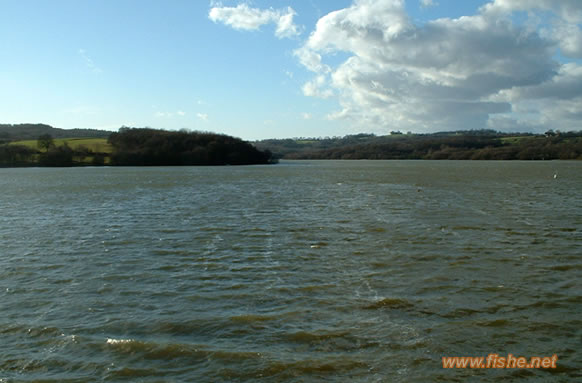 Darwell Reservoir