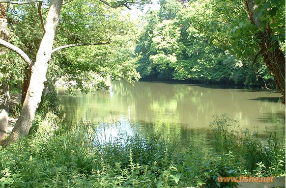 Harmers Pond