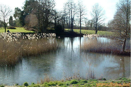 Great Pond