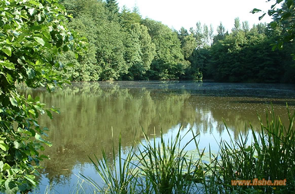 Normanhurst Lake