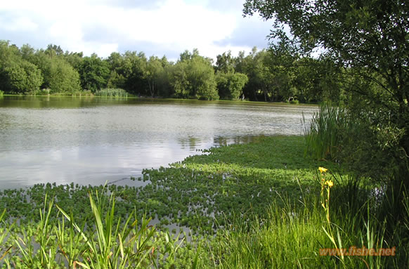 Piltdown Lake