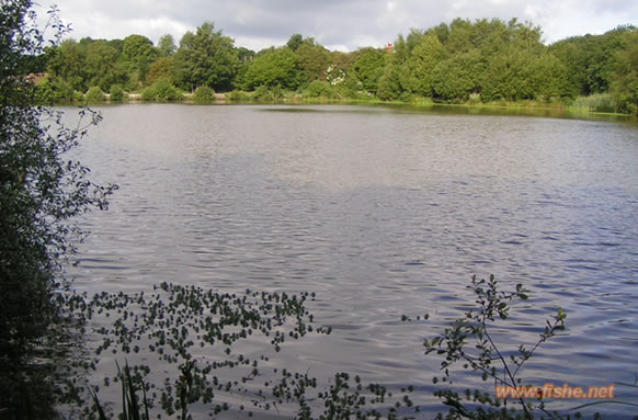 Piltdown Lake