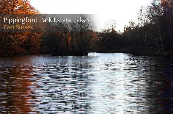Pippingford Park Fishing Lakes