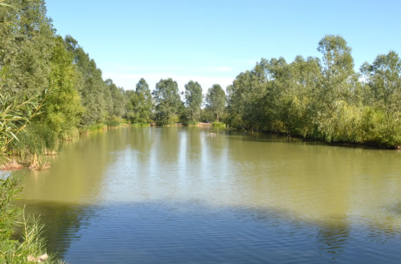 Blind Lane Fisheries