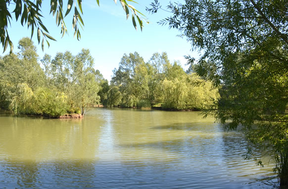 Blind Lane Fisheries