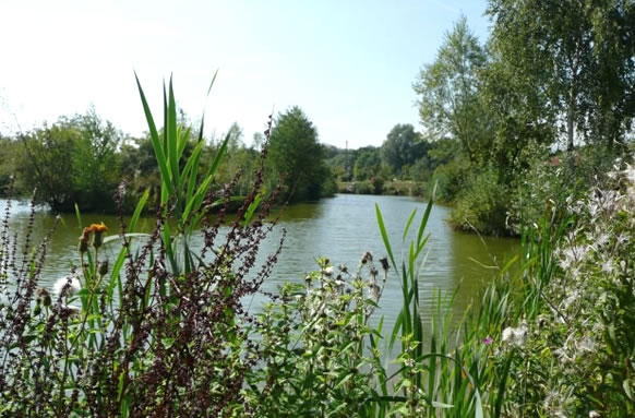 Colemans Cottage Fishery