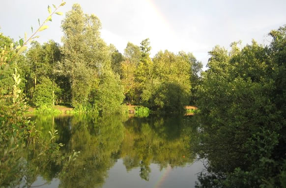Colemans Cottage Fishery