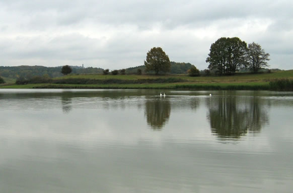 Colemans Cottage Fishery