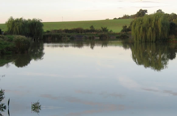Lake John Fishery