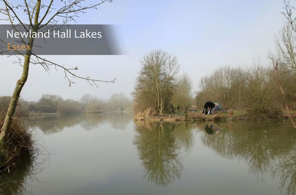 Newland Hall Fishery