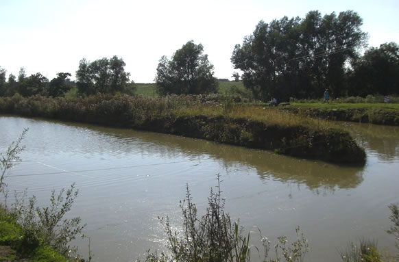 Oakford Farm Fishery