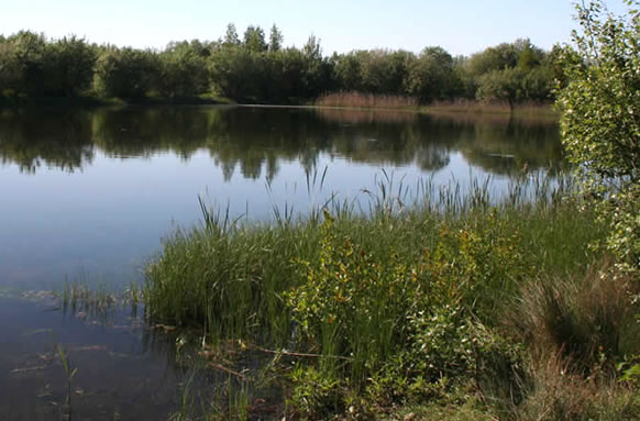 Par Lakes Coarse Fishery