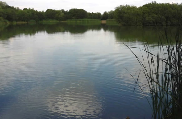 Par Lakes Coarse Fishery