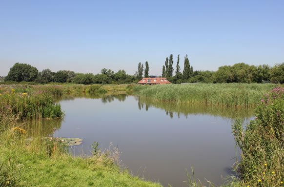 Redbridge Lakes