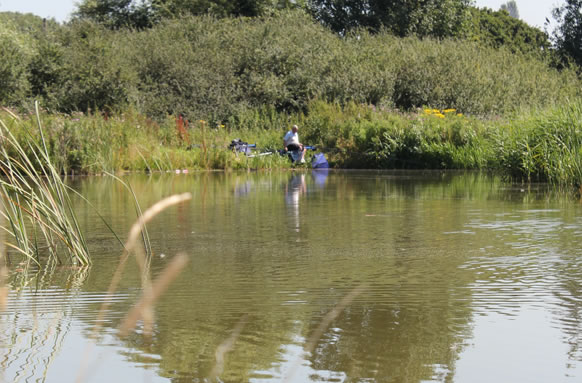 Redbridge Lakes