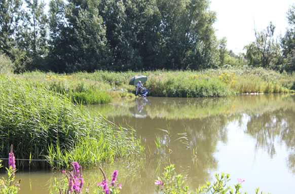 Redbridge Lakes