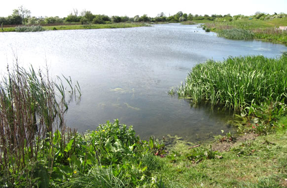Thornwood Springs Trout Fishing Lakes