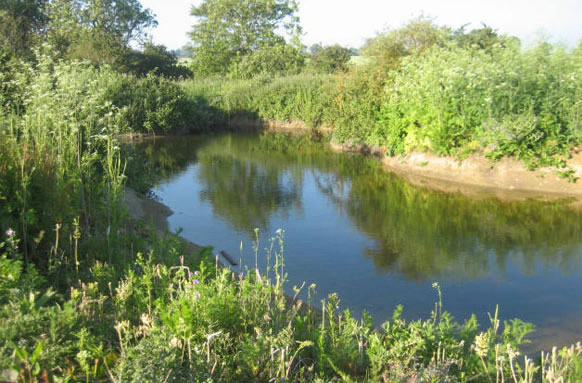 Thornwood Springs Trout Fishing Lakes