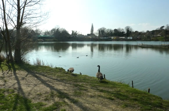 Woodys Fishing Lake