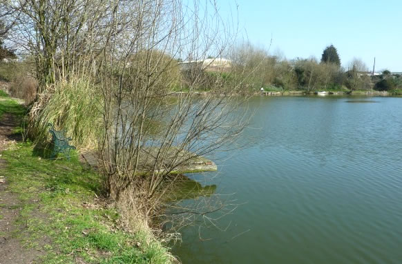 Woodys Fishing Lake