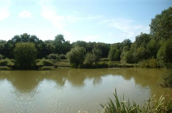 Bowsaw and Billhook Fishery Lakes