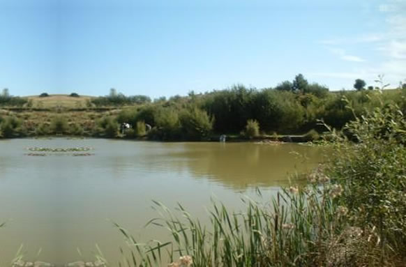 Bowsaw and Billhook Fishery Lakes