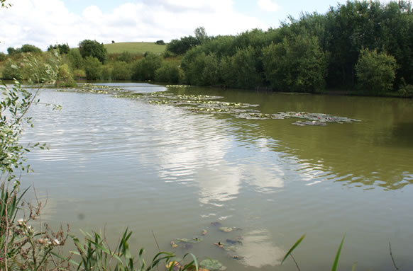 Bowsaw and Billhook Fishery Lakes
