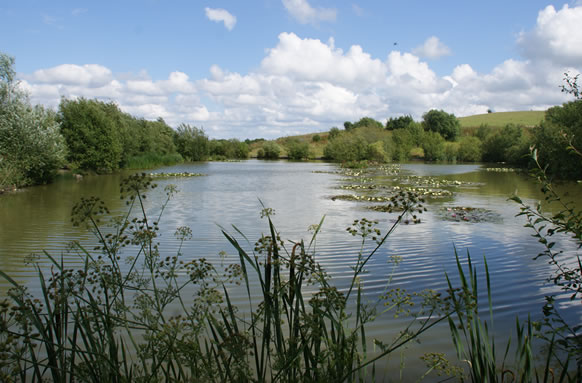 Bowsaw and Billhook Fishery Lakes