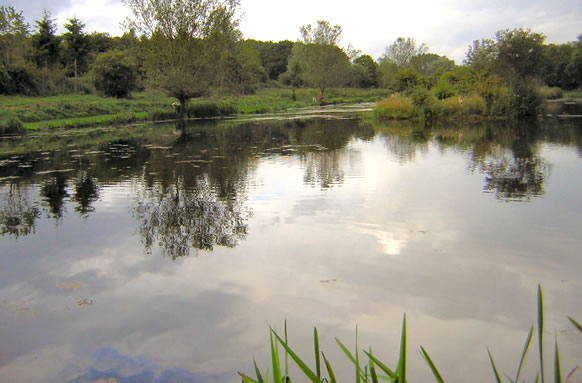 Chiphall Lake Trout Fishery