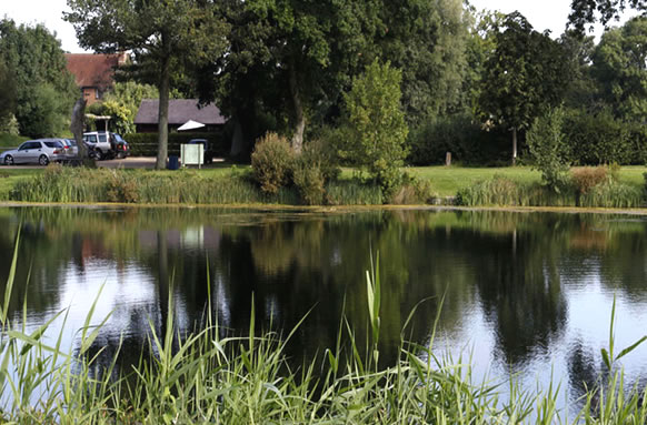 Dever Springs Trout Fishery