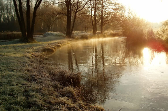 Dever Springs Trout Fishery