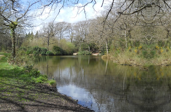 Gang Warily Coarse Fishing Ponds