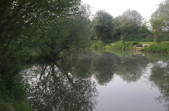 Golden Pond Fishery