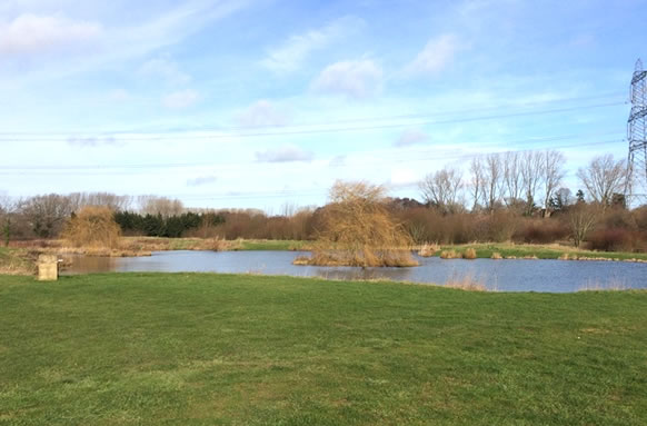 Headlands Farm Fishing Lakes