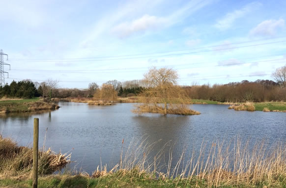 Headlands Farm Fishing Lakes