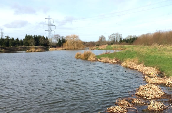 Headlands Farm Fishing Lakes