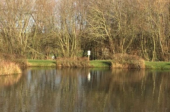 Headlands Farm Fishing Lakes