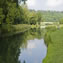 Meon Springs Trout Fishery thumb