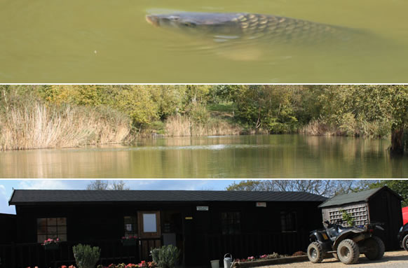 Orchard Lakes Fishery