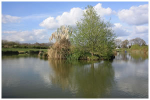 Orchard Fishing Lakes